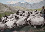Campagne